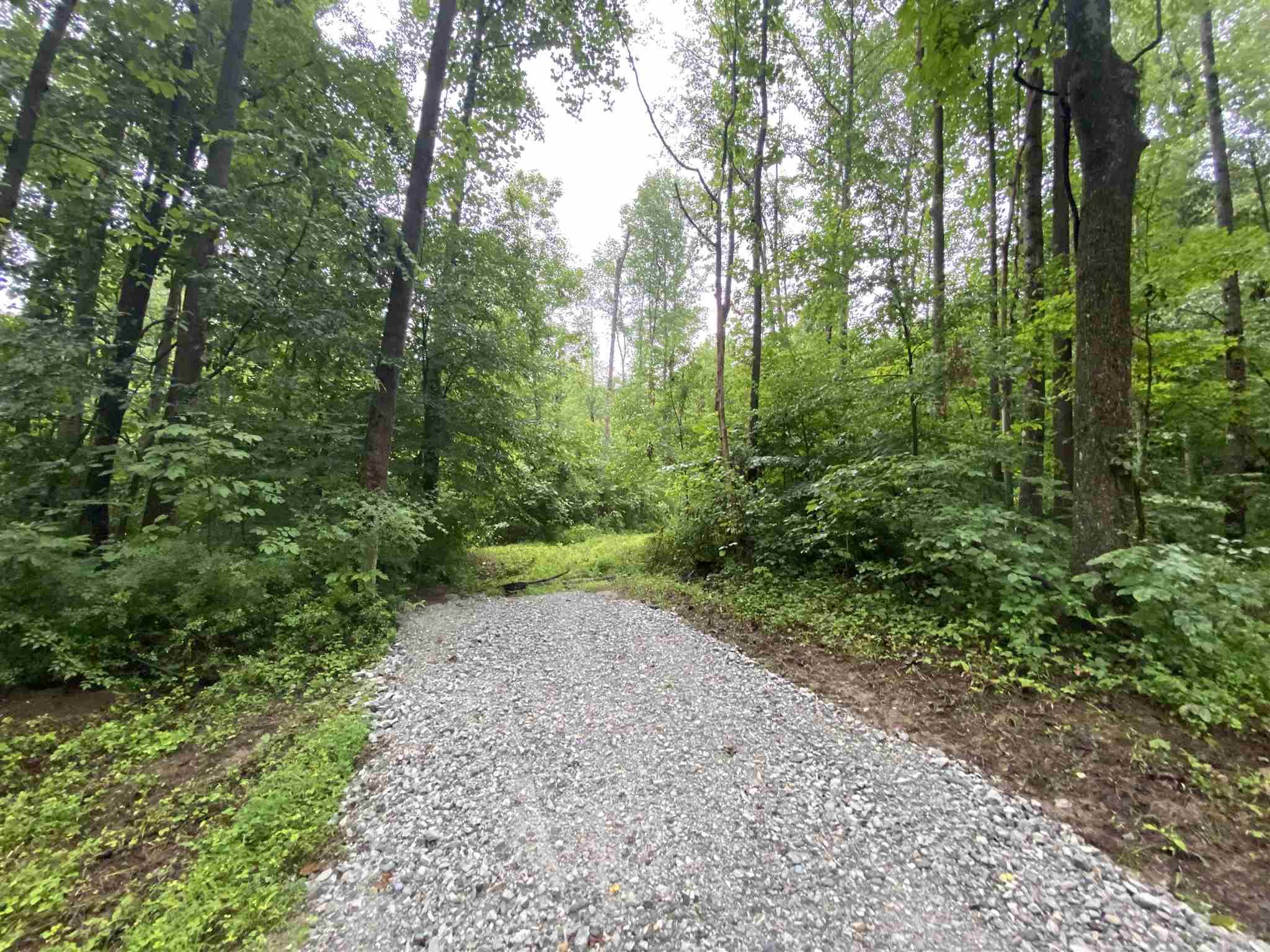 West Popcorn Road Springville, IN 47462 - Photo 3 of 5