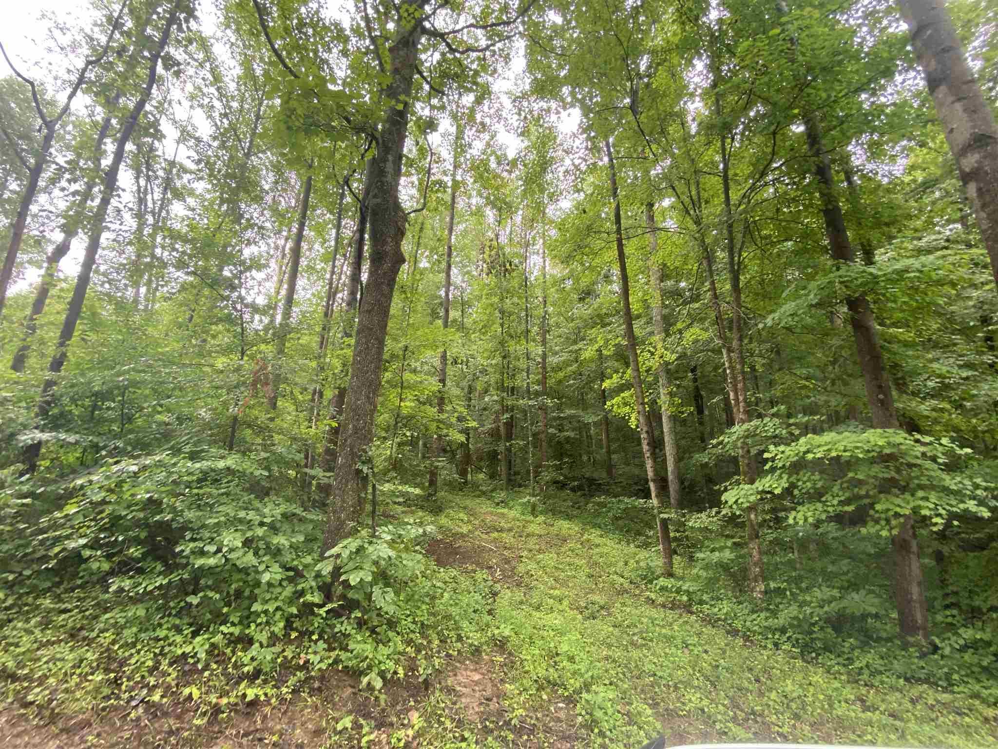 West Popcorn Road Springville, IN 47462 - Photo 4 of 5