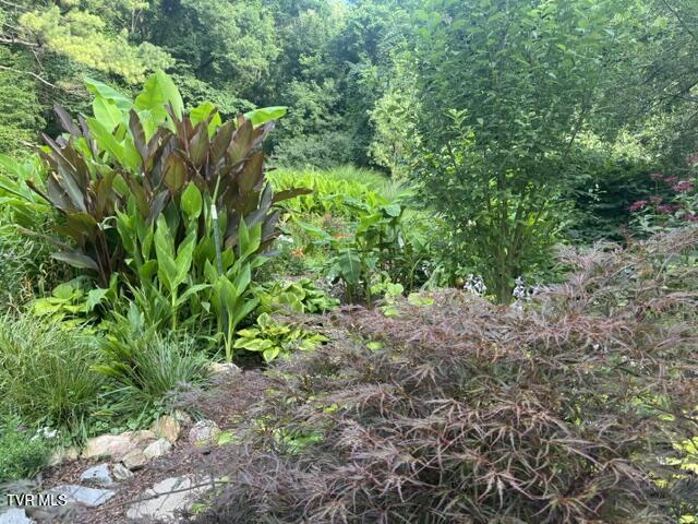 235 Shipley Ferry Road Blountville, TN 37617 - Photo 25 of 27 IMG_2924