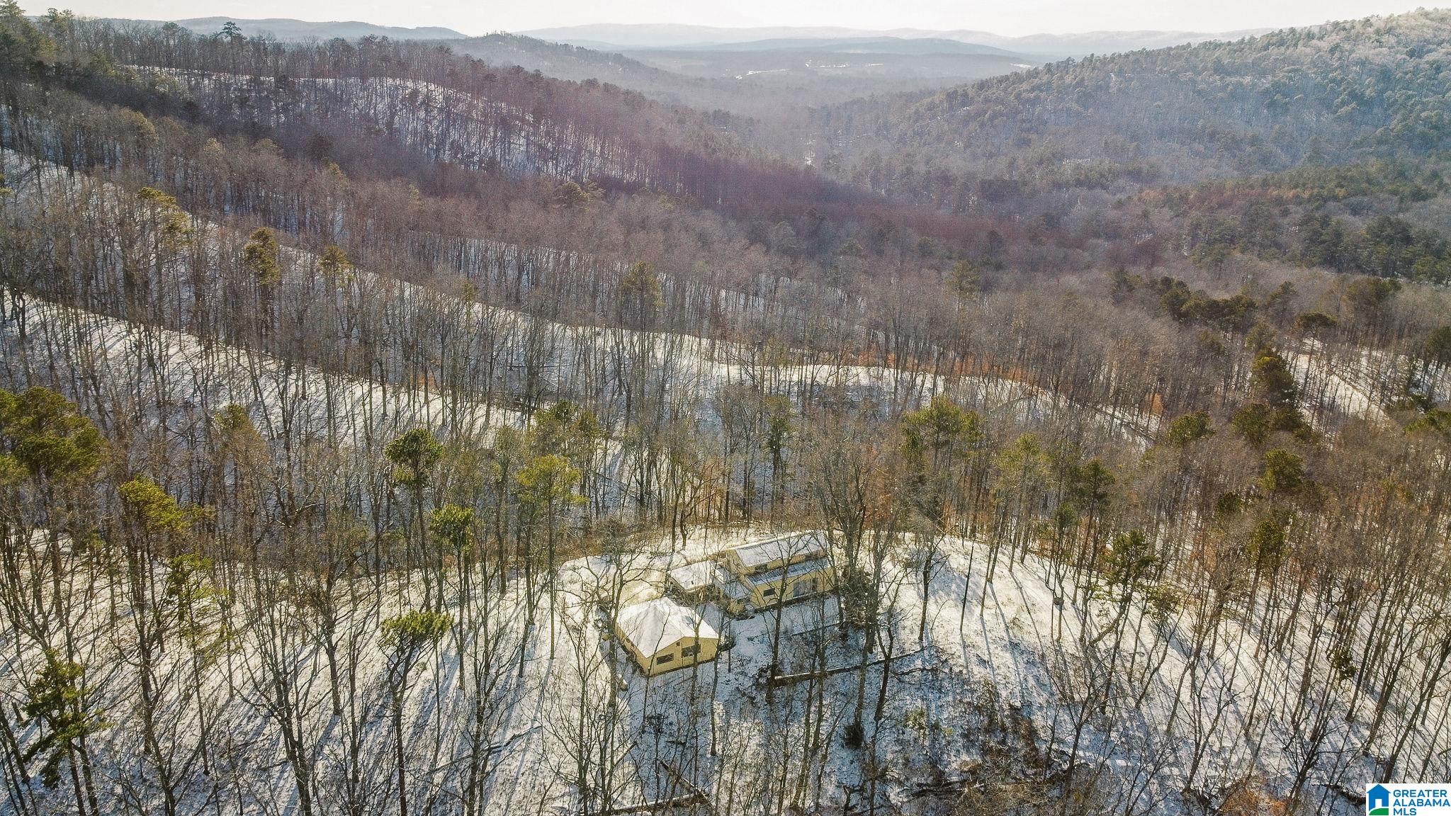 5325 Union T Road Talladega, AL 35160 - Photo 2 of 83