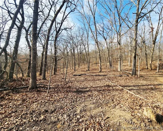 $62,050 | Lot 3 State J Road, Roach, MO 65787
