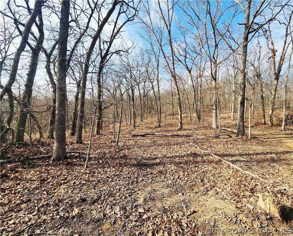 Lot 3 State J Road Roach, MO 65787 - Photo 17 of 32
