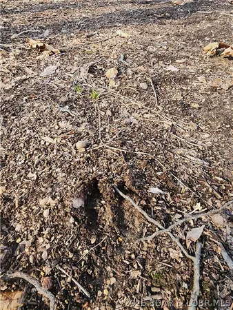 $62,050 | Lot 3 State J Road, Roach, MO 65787
