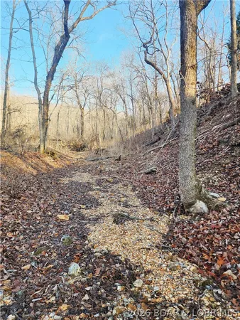 $62,050 | Lot 3 State J Road, Roach, MO 65787