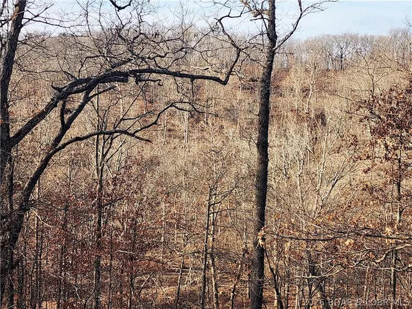 $62,050 | Lot 3 State J Road, Roach, MO 65787