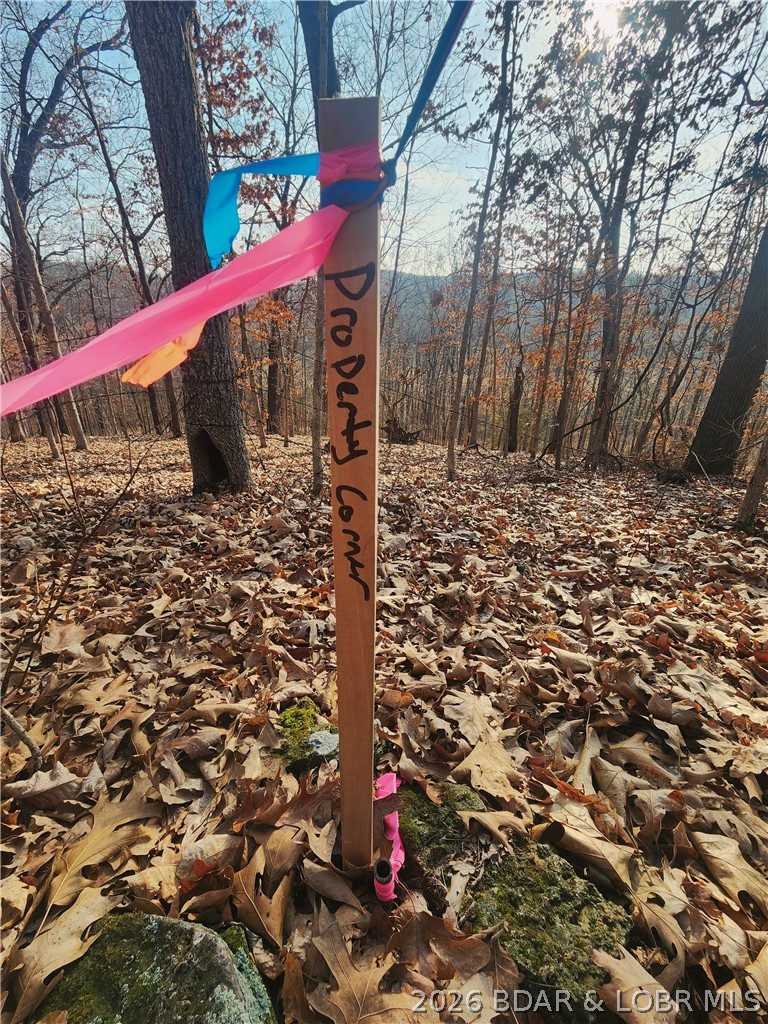 Lot 3 State J Road Roach, MO 65787 - Photo 10 of 32