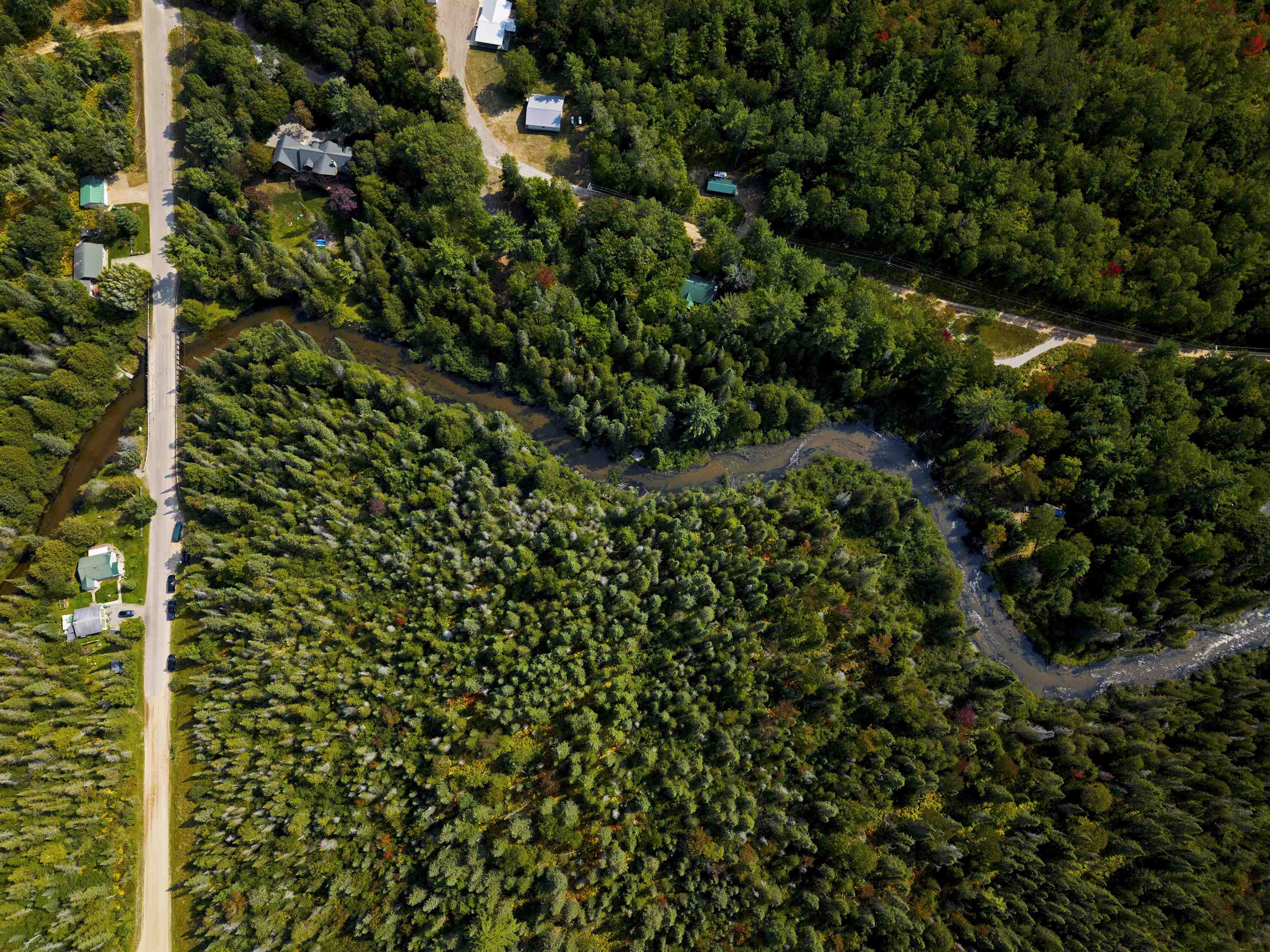Cameron Bridge Road Frederic, MI 49733 - Photo 16 of 63