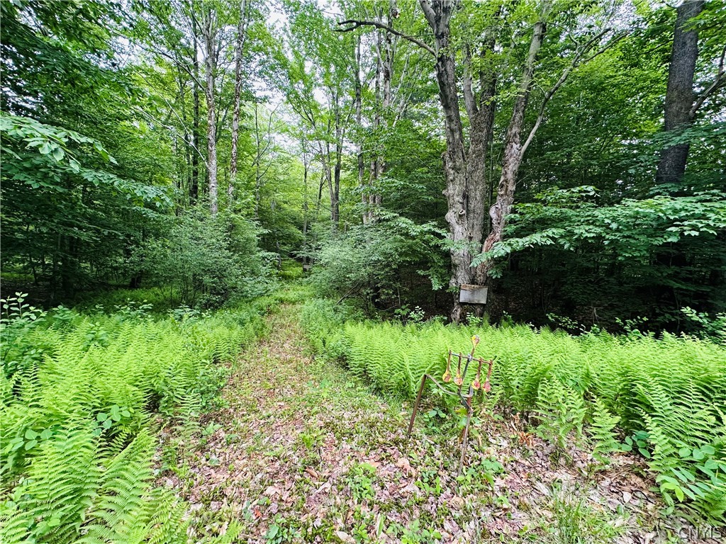 0 Balch Road Mannsville, NY 13661 - Photo 7 of 18