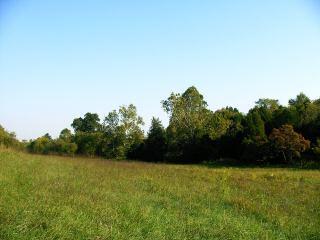 Lot 4 Founding Way Road Bedford, VA 24523 - Photo 2 of 6 a view of outdoor space and yard