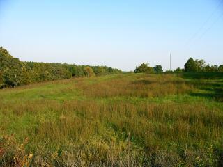 Lot 4 Founding Way Road Bedford, VA 24523 - Photo 4 of 6 a view of a field with an ocean