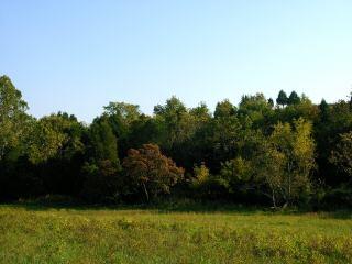 Lot 4 Founding Way Road Bedford, VA 24523 - Photo 5 of 6 a view of a green field