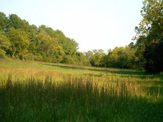 Lot 4 Founding Way Road Bedford, VA 24523 - Photo 6 of 6 a view of lake with green space