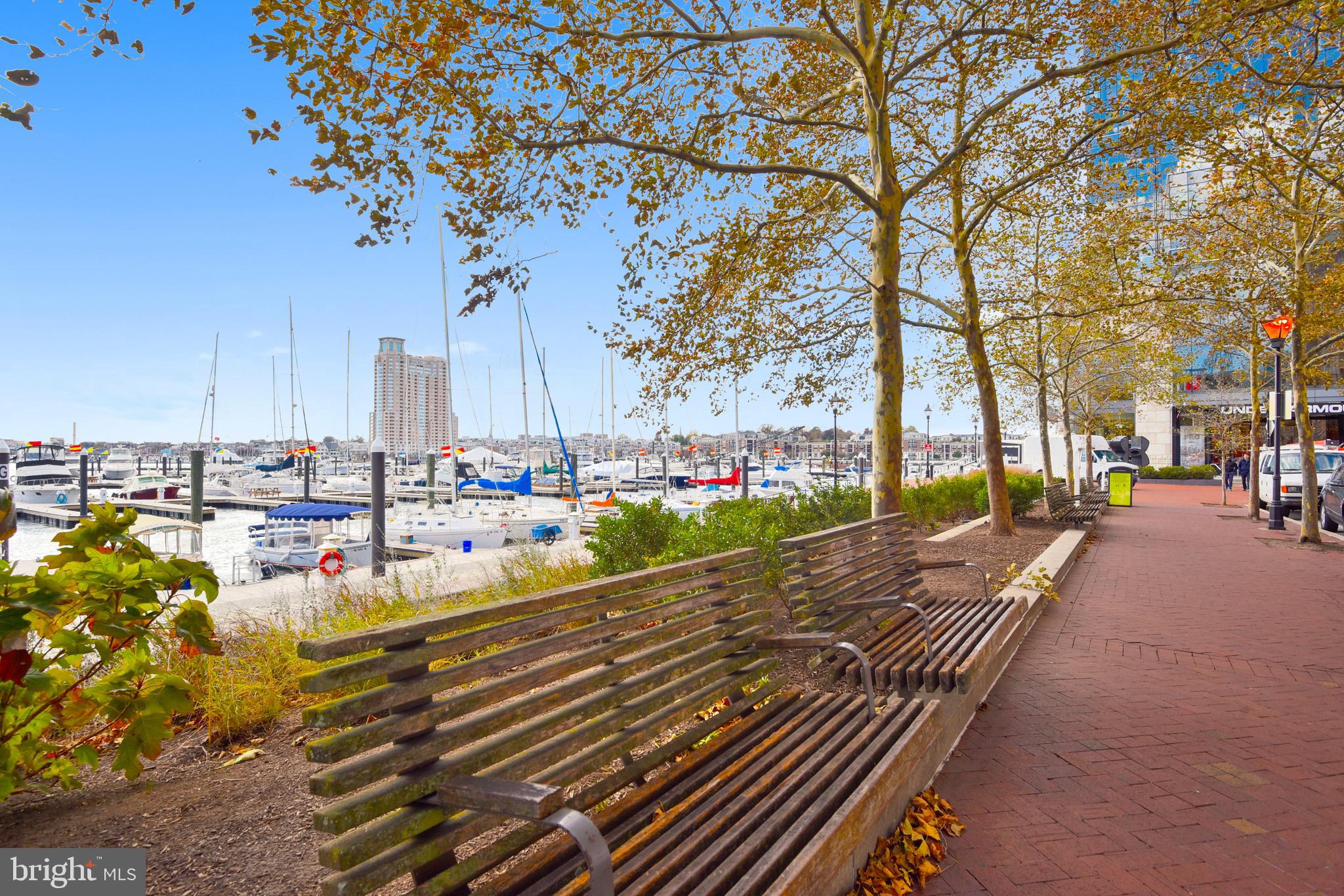 937 South Caroline Street, Unit 19 Baltimore, MD 21231 - Photo 23 of 24 Harbor East Promenade