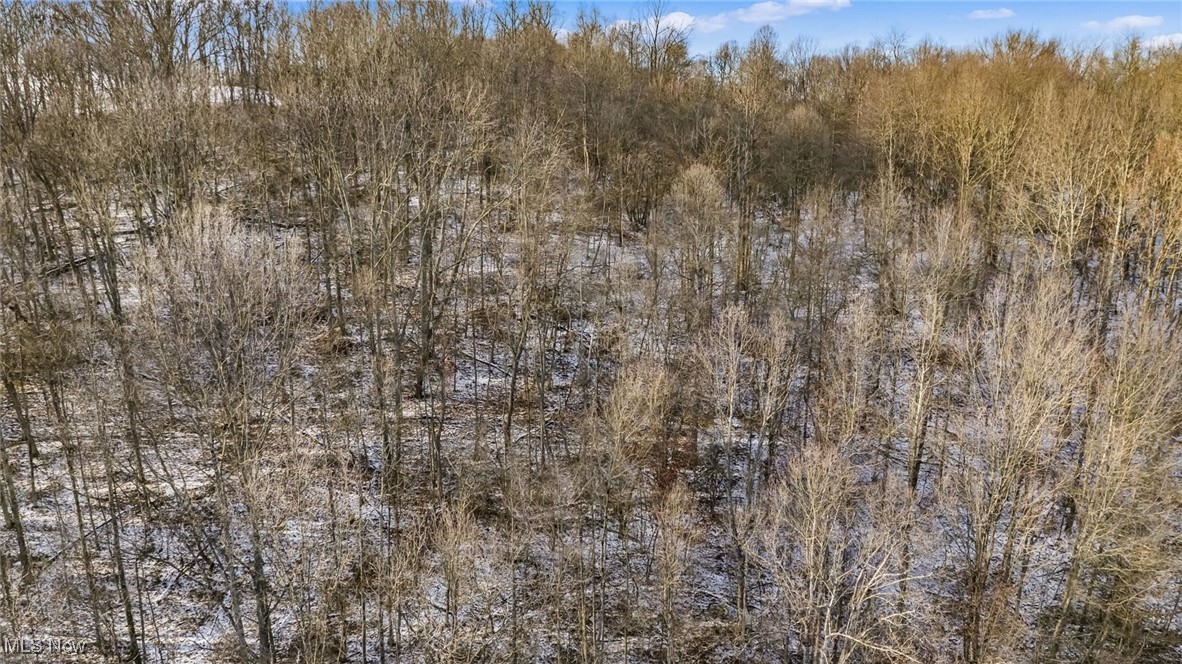 0 Skull Fork Road Freeport, OH 43973 - Photo 12 of 22 Gallery Image 12