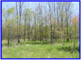 0 Rileys Bay Road Brussels, WI 54204 - Photo 1 of 1 Main View