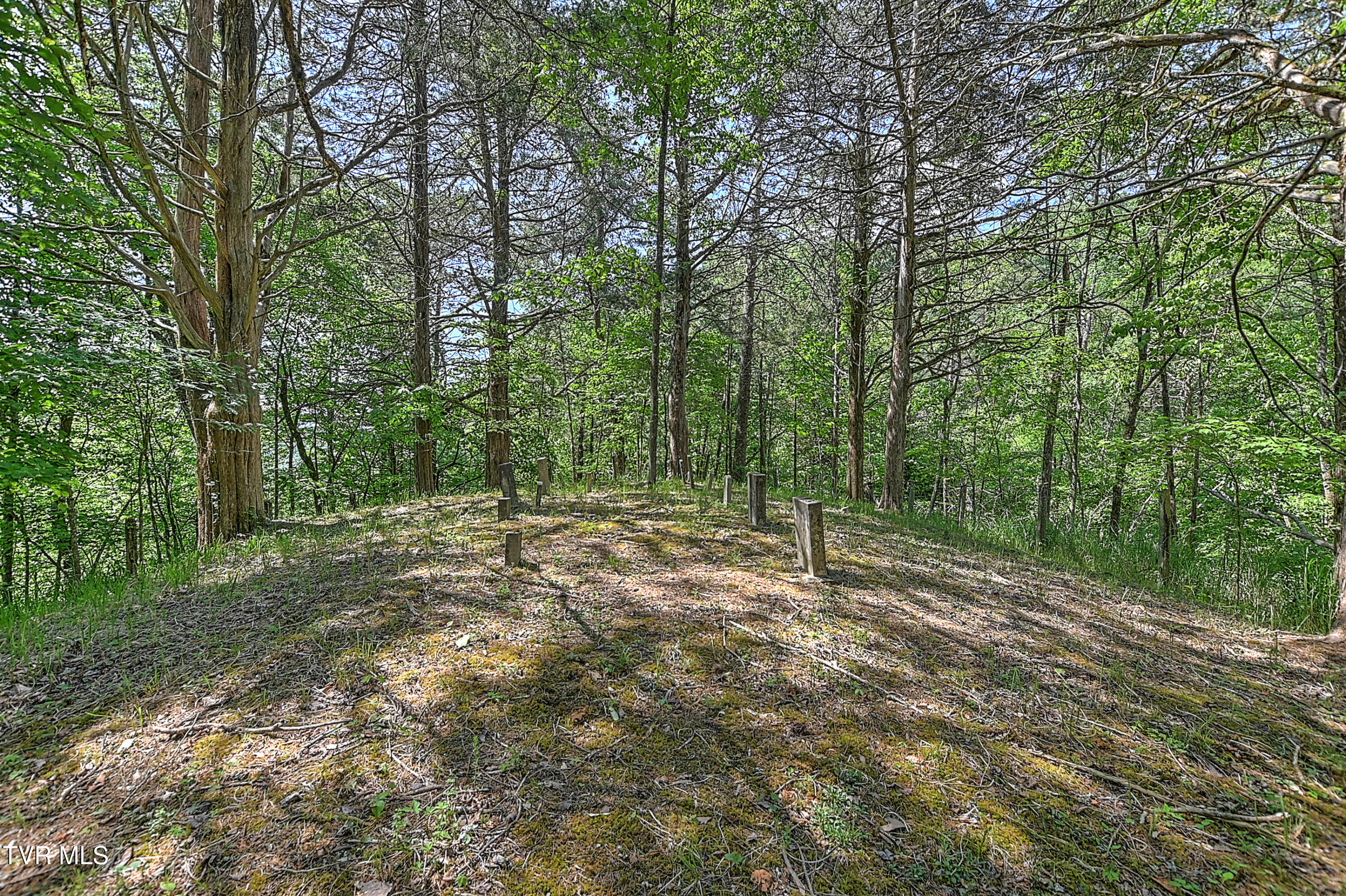 3388 Flower Gap Road Blackwater, VA 24221 - Photo 140 of 161 3388 Flower Gap Rd DS-141