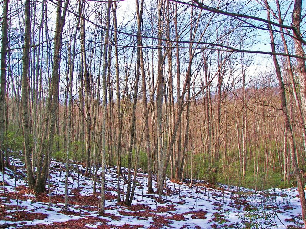6 Summerfield Lane Rutherfordton, NC 28139 - Photo 4 of 6 Gallery Image 4
