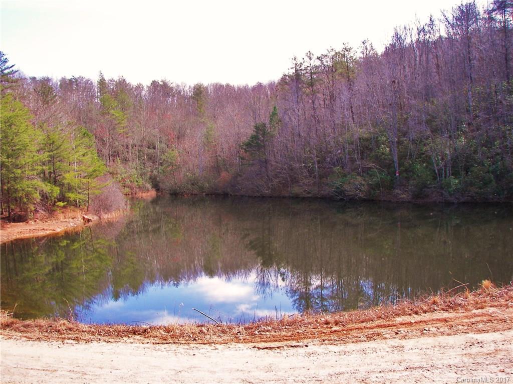 6 Summerfield Lane Rutherfordton, NC 28139 - Photo 5 of 6 Gallery Image 5