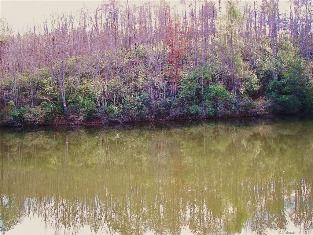 6 Summerfield Lane Rutherfordton, NC 28139 - Photo 6 of 6 Gallery Image 6