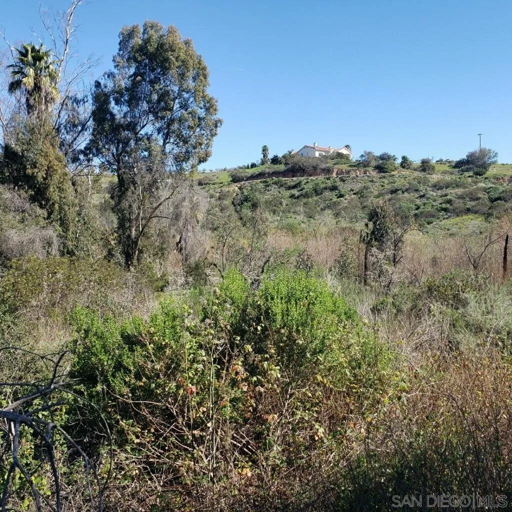 0 Vía Puerta Del Sol Bonsall, CA 92003 - Photo 5 of 7 a view of a field of grass and trees
