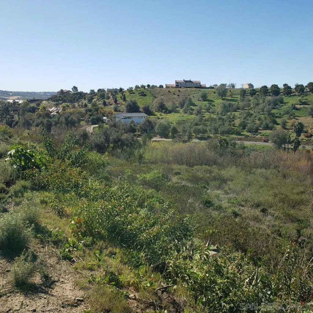 0 Vía Puerta Del Sol Bonsall, CA 92003 - Photo 6 of 7 a view of a field of grass and trees