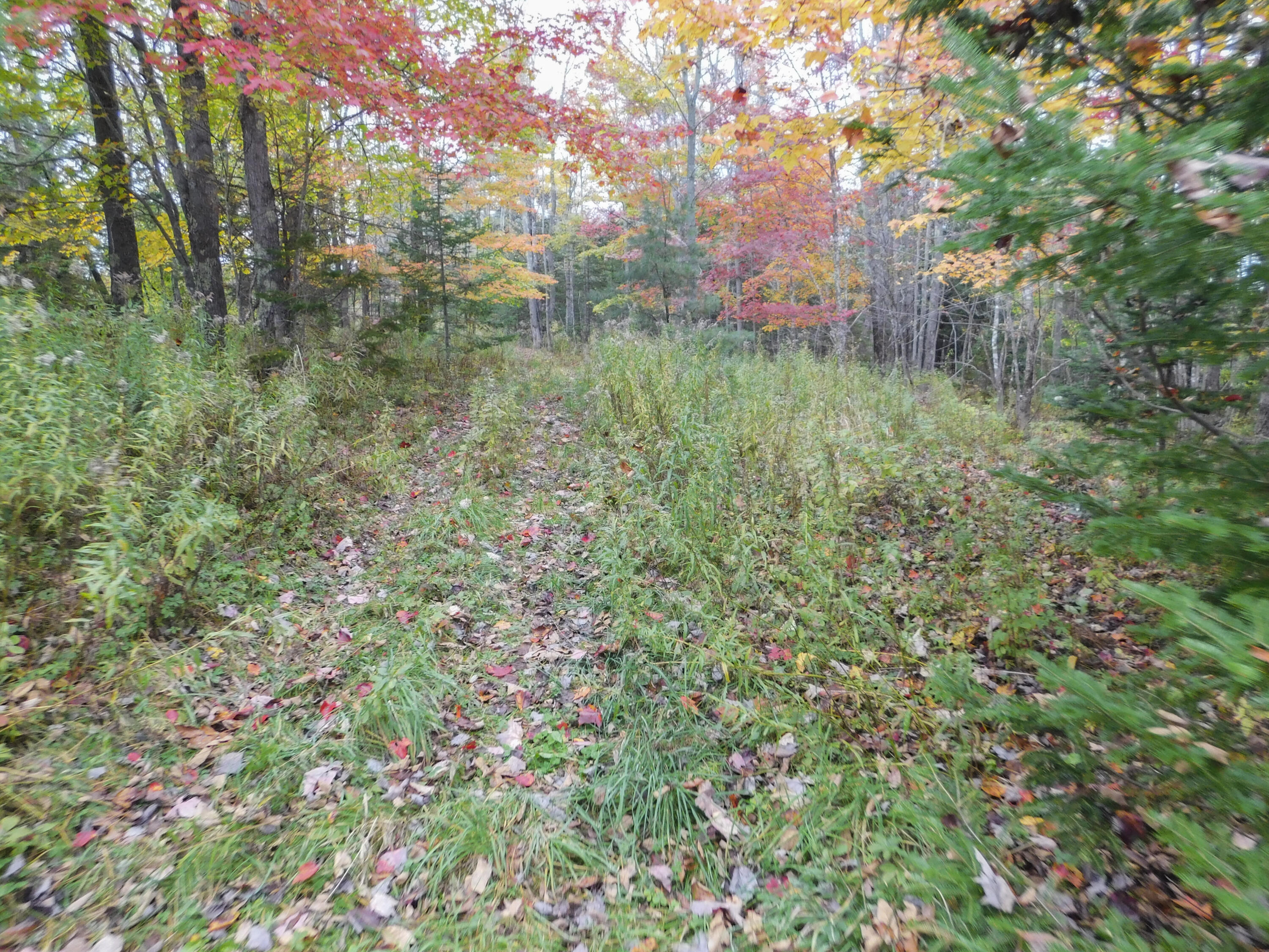 Lot #40-1 Lot#40-1 Map Road, Unit 1 Ripley, ME 04930 - Photo 14 of 27 Land