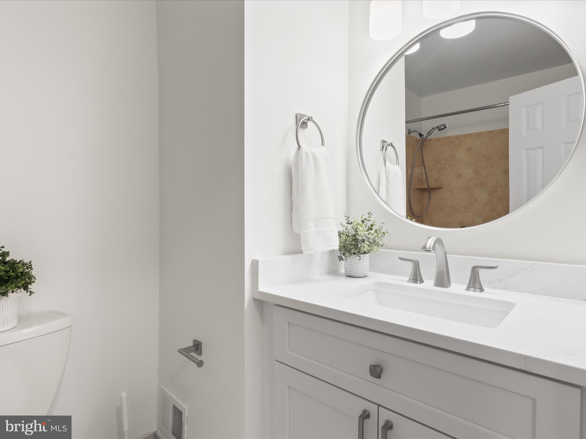 332 Silver Ridge Drive Sterling, VA 20164 - Photo 27 of 53 a bathroom with a sink and a mirror