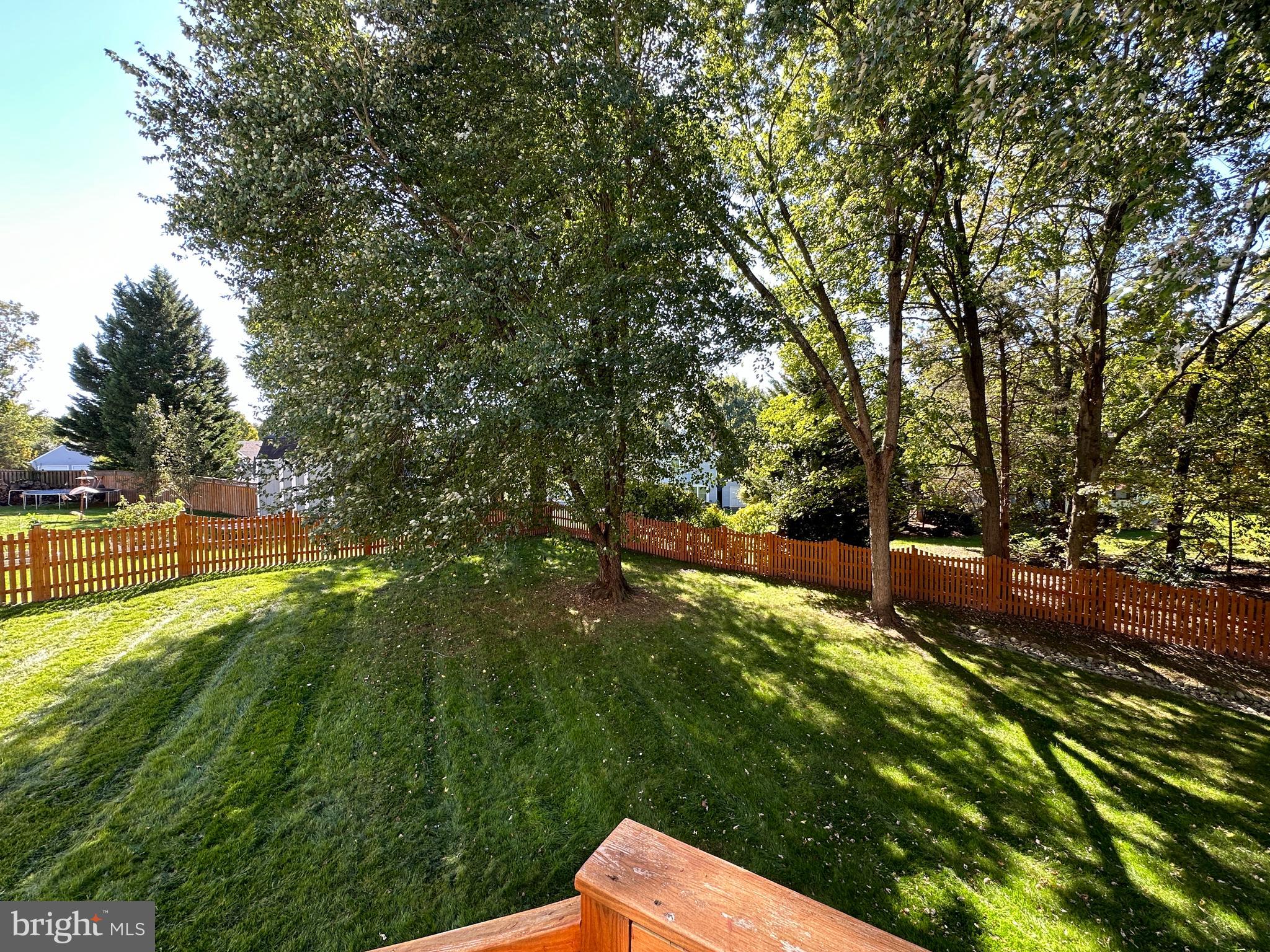 332 Silver Ridge Drive Sterling, VA 20164 - Photo 46 of 53 a backyard of a house with lots of green space
