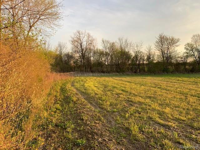 1 Exeter Road Carleton, MI 48117 - Photo 12 of 24 Gallery Image 12
