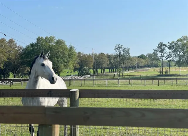 $3,000 | 1500 Southwest 210th Avenue, Unit BARN, Dunnellon, FL 34431