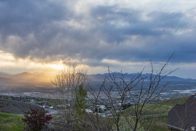 1263 East Wild Maple Court Draper, UT 84020 - Photo 8 of 66