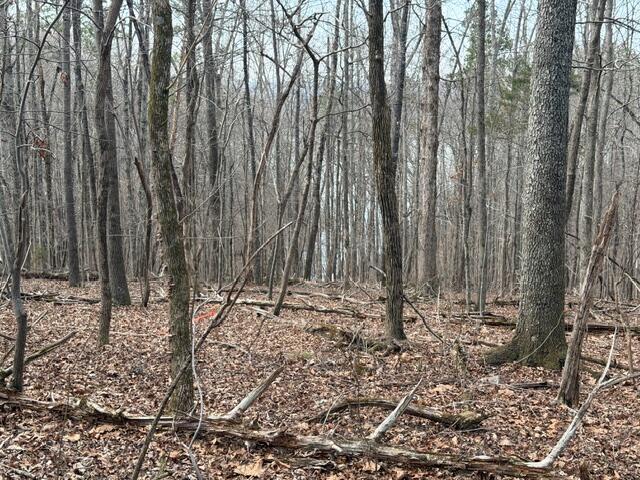0 Pearson Road, Unit TRACT 1 Harrison, TN 37341 - Photo 5 of 7 IMG_ T1 3
