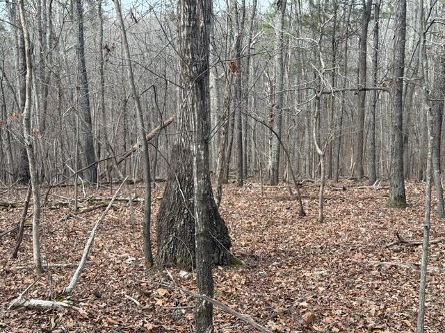 0 Pearson Road, Unit TRACT 1 Harrison, TN 37341 - Photo 6 of 7 IMG_T1