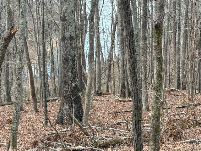0 Pearson Road, Unit TRACT 1 Harrison, TN 37341 - Photo 7 of 7 IMG_T1 2