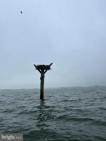 $2,000 | 16197 Thomas Road, Piney Point, MD 20674