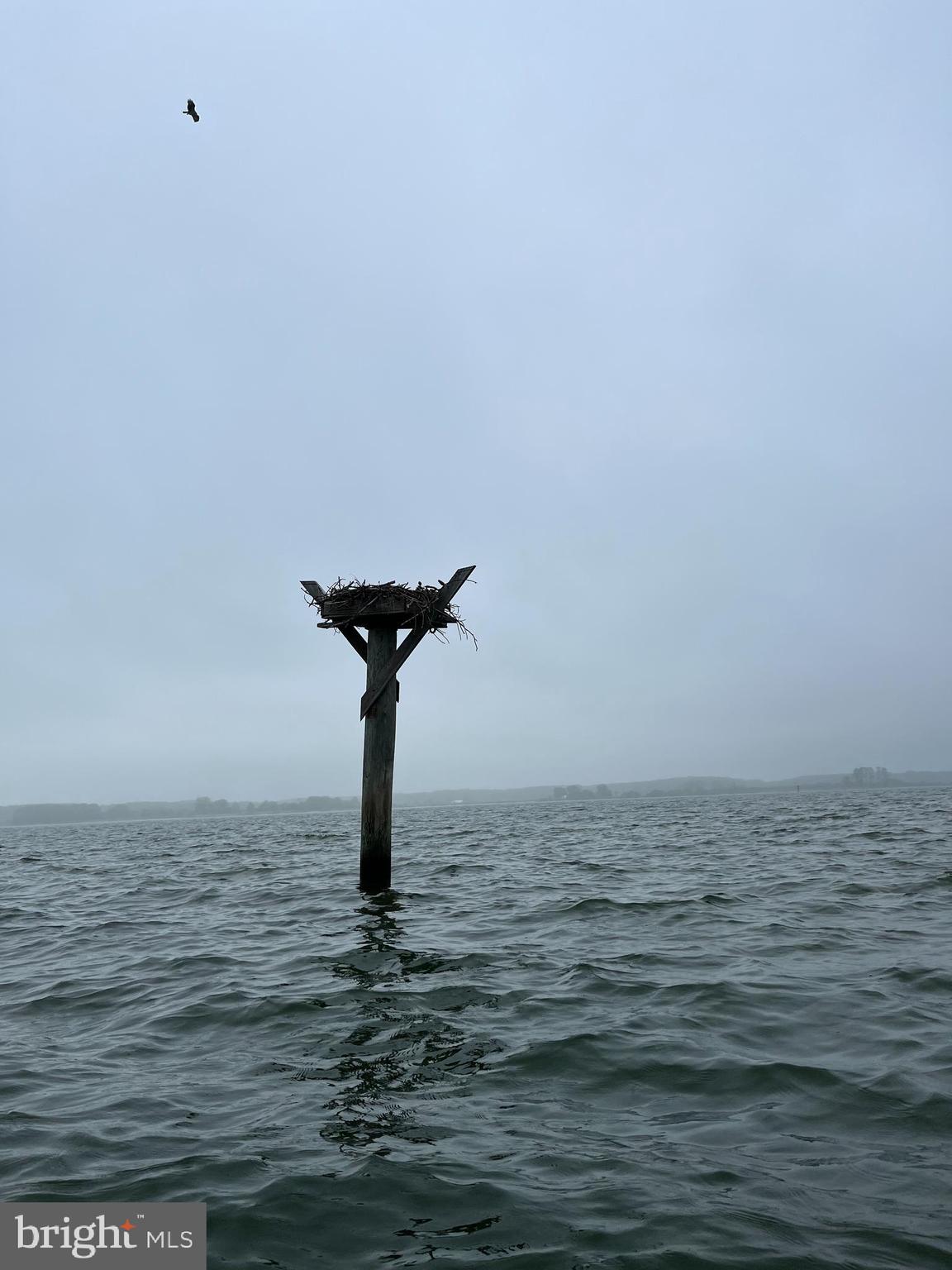 16197 Thomas Road Piney Point, MD 20674 - Photo 12 of 15 a view of a room with a sink