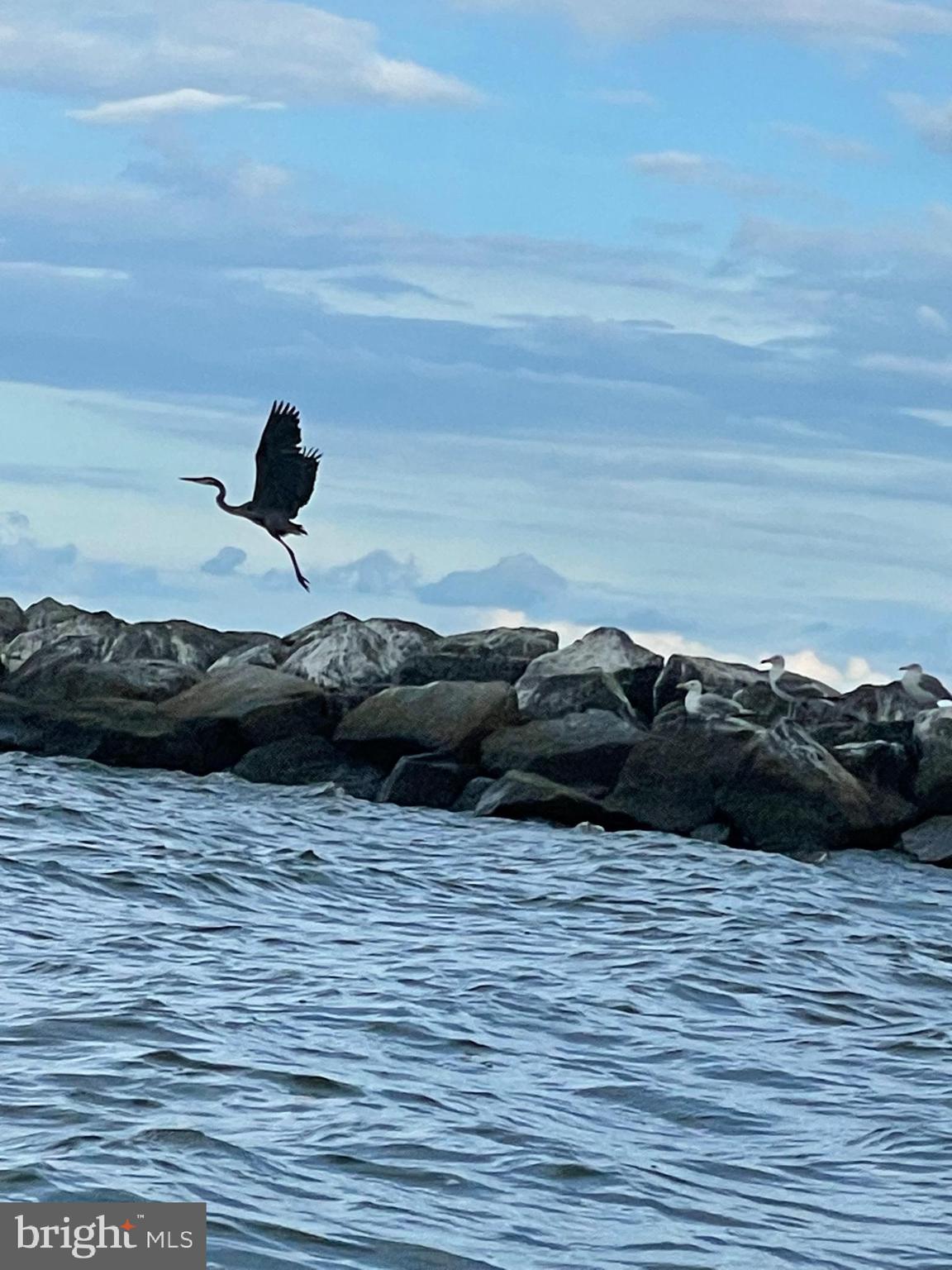 16197 Thomas Road Piney Point, MD 20674 - Photo 13 of 15 a view of a lake