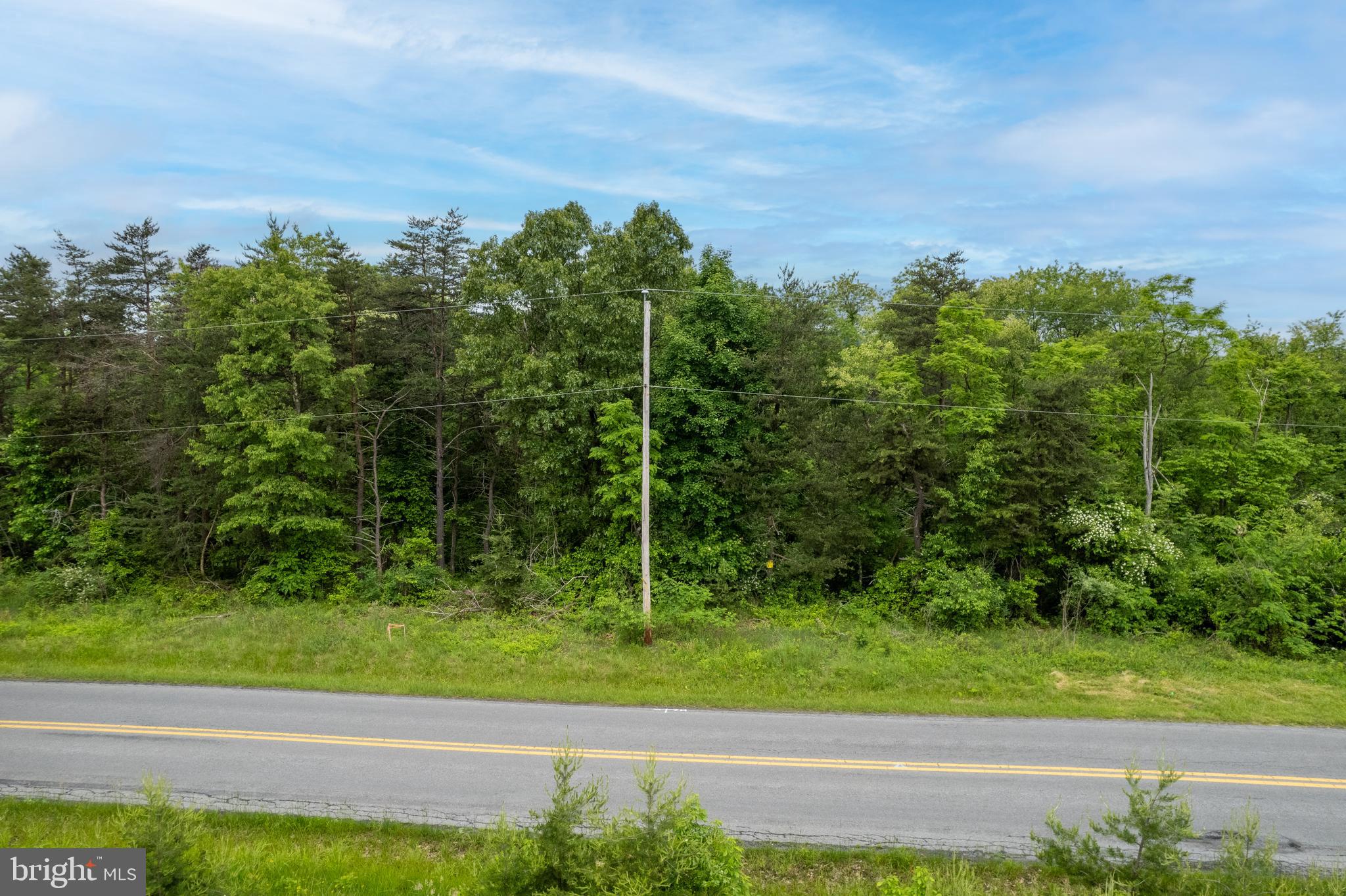 Lot 2 North Timber Ridge Road Cross Junction, VA 22625 - Photo 12 of 30