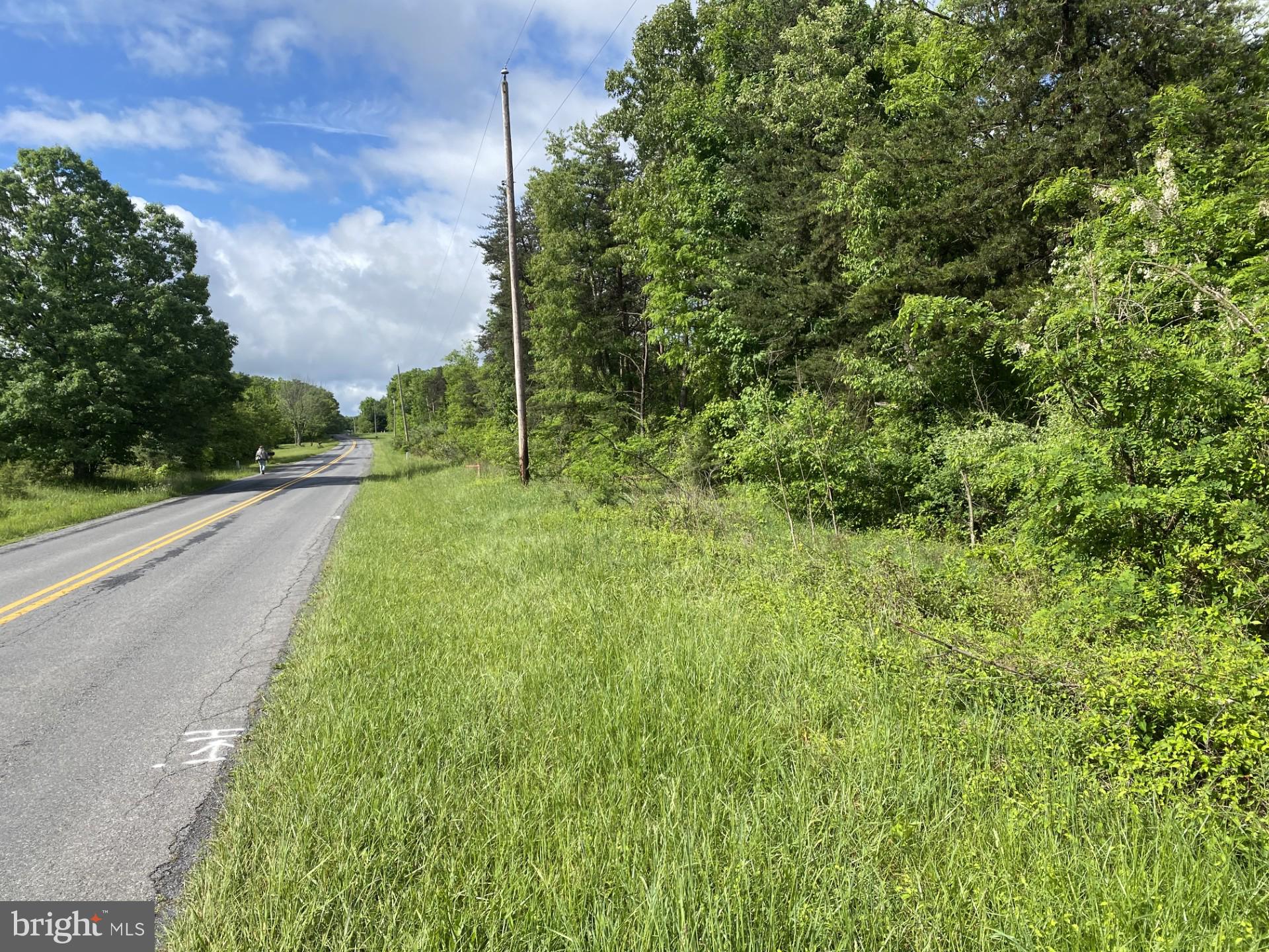 Lot 2 North Timber Ridge Road Cross Junction, VA 22625 - Photo 23 of 30