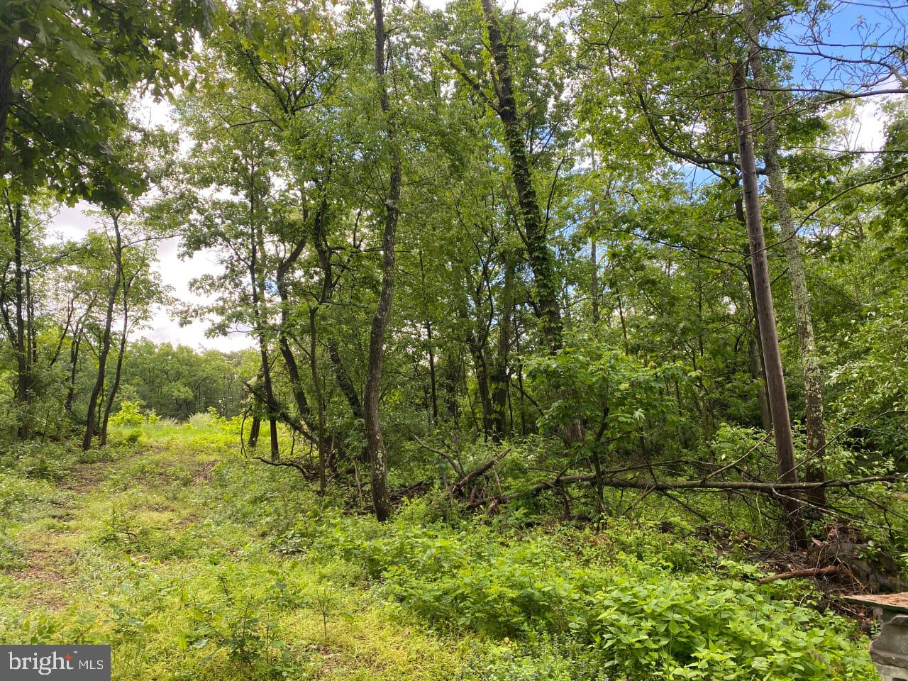 Lot 2 North Timber Ridge Road Cross Junction, VA 22625 - Photo 29 of 30