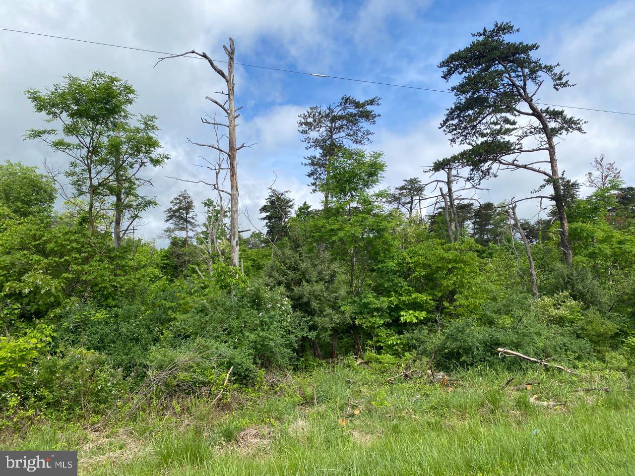 Lot 2 North Timber Ridge Road Cross Junction, VA 22625 - Photo 30 of 30