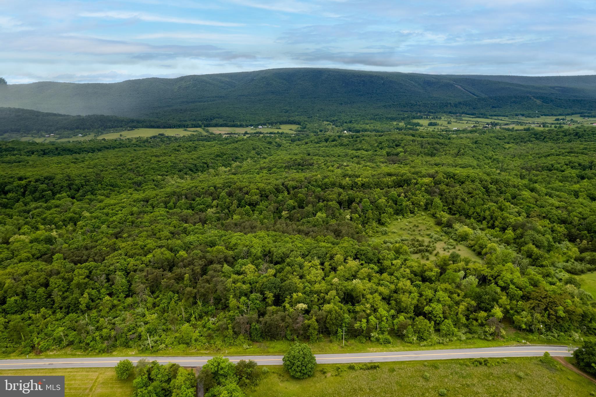 Lot 2 North Timber Ridge Road Cross Junction, VA 22625 - Photo 3 of 30