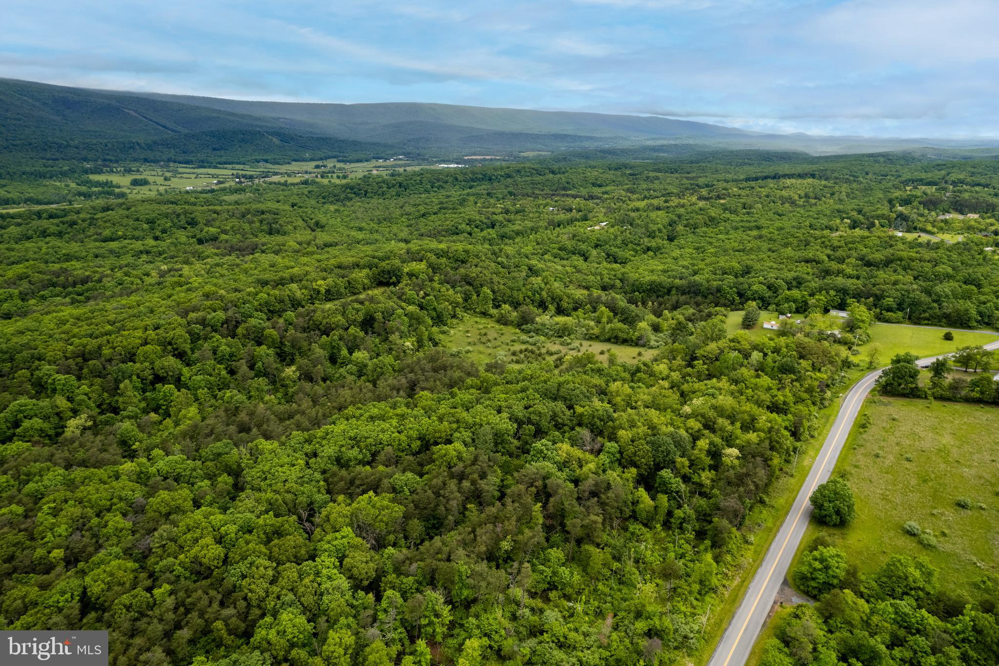 Lot 2 North Timber Ridge Road Cross Junction, VA 22625 - Photo 7 of 30