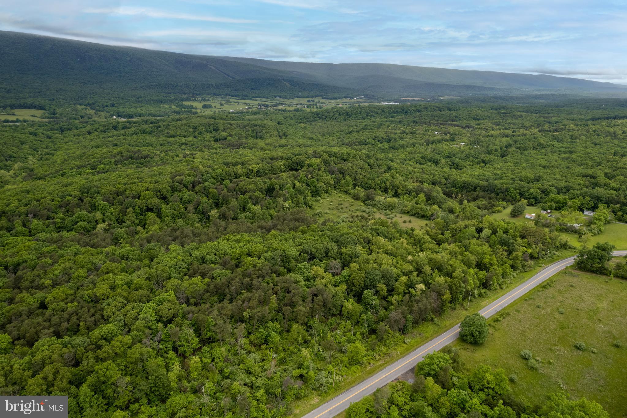 Lot 2 North Timber Ridge Road Cross Junction, VA 22625 - Photo 8 of 30
