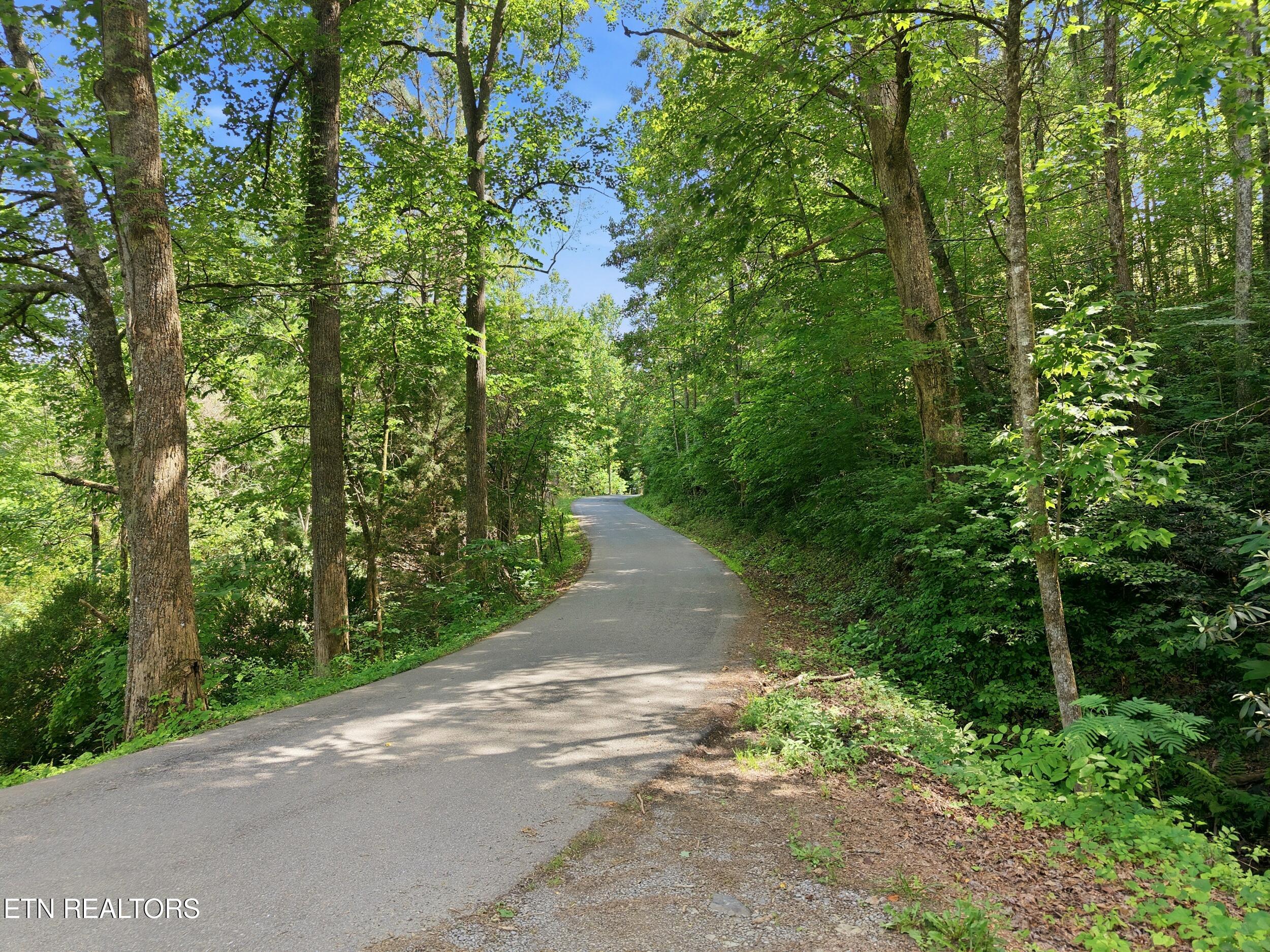 909 The Loop Road Walland, TN 37886 - Photo 8 of 32 11_909_the_loop_rd_0008