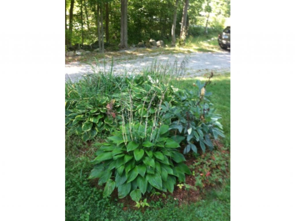 454 East Dunbarton Road Goffstown, NH 03045 - Photo 22 of 35