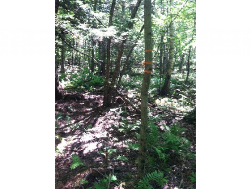 454 East Dunbarton Road Goffstown, NH 03045 - Photo 25 of 35