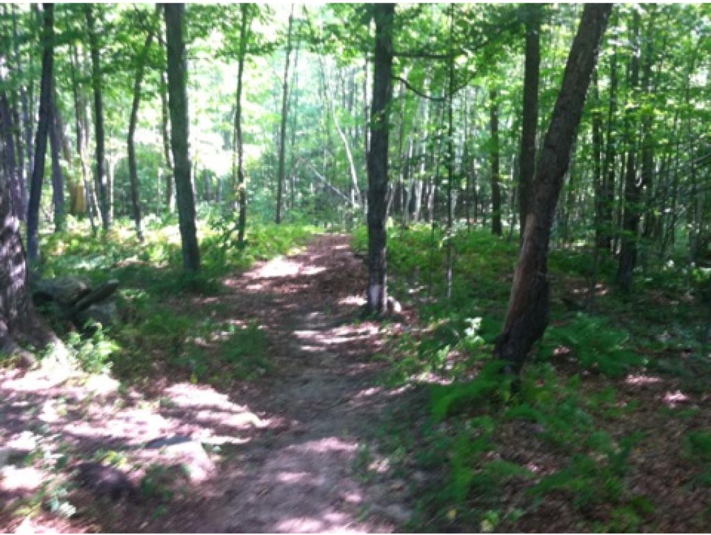454 East Dunbarton Road Goffstown, NH 03045 - Photo 26 of 35