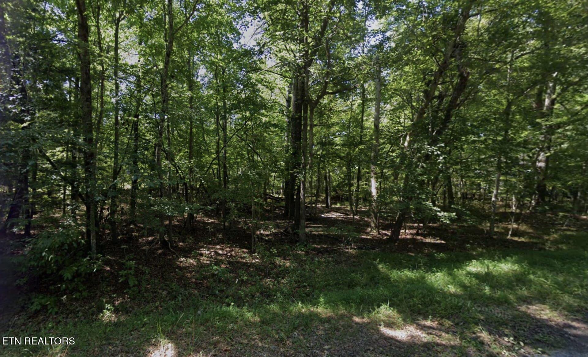 3011 Shawnee Road Crossville, TN 38572 - Photo 1 of 2 1-189-scaled