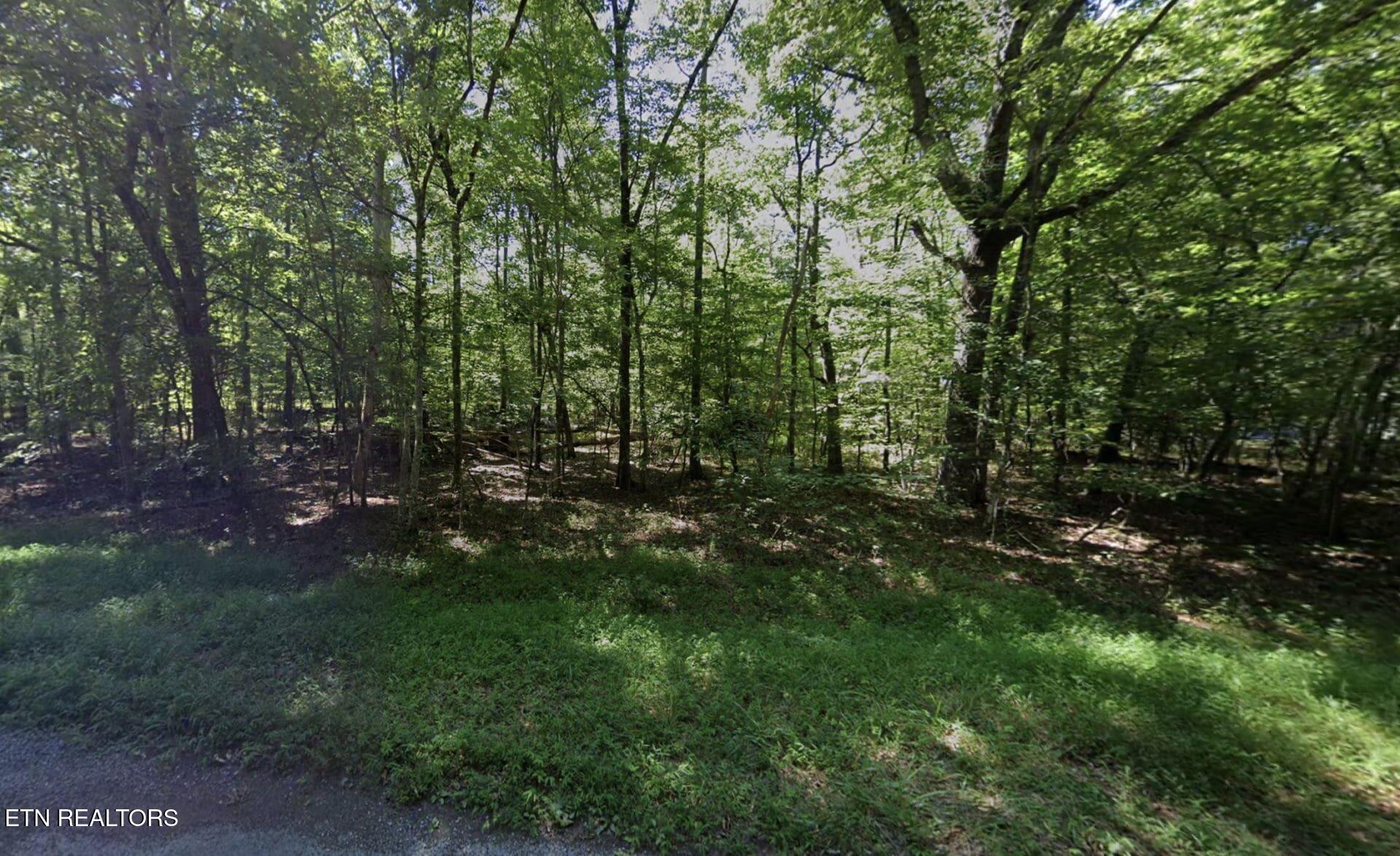 3011 Shawnee Road Crossville, TN 38572 - Photo 2 of 2 2-173-scaled